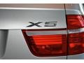 BMW X5 xDrive35d Titanium Silver Metallic photo #20
