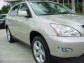 Lexus RX 350 Savannah Metallic photo #2