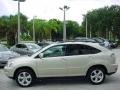 Lexus RX 350 Savannah Metallic photo #10