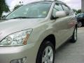 Lexus RX 350 Savannah Metallic photo #13