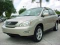 Lexus RX 350 Savannah Metallic photo #14