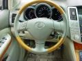 Lexus RX 350 Savannah Metallic photo #24
