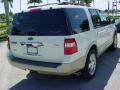 Ford Expedition Eddie Bauer White Suede photo #6