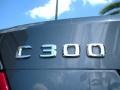 Mercedes-Benz C 300 Sport Steel Grey Metallic photo #9