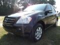 Mercedes-Benz ML 350 4Matic Black photo #2