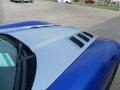 Dodge Viper ACR Roanoke Dodge Edition Coupe Viper GTS Blue/Silver photo #13