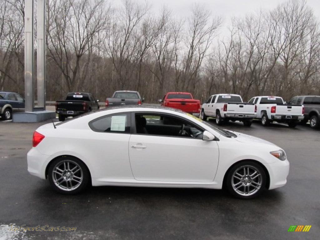 2007 Scion Tc In Super White Photo 4 195412 Jax Sports Cars Cars