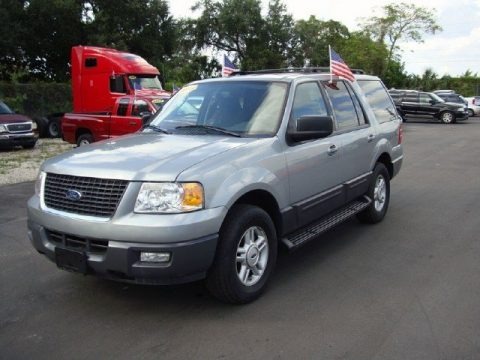 Pewter Metallic 2006 Ford Expedition XLT Pewter Metallic 2006 Ford Expedition XLT