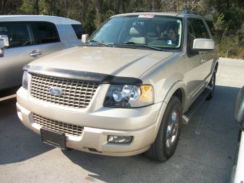 Pueblo Gold Metallic 2006 Ford Expedition Limited Pueblo Gold Metallic 2006 Ford Expedition Limited