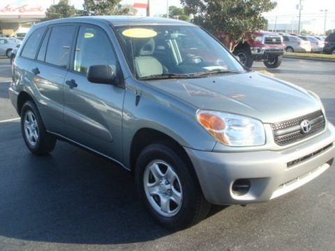 Everglade Metallic 2005 Toyota RAV4 Everglade Metallic 2005 Toyota RAV4