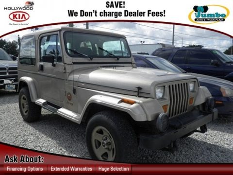Light Champagne Metallic 1993 Jeep Wrangler Sahara 4x4 Light Champagne Metallic 1993 Jeep Wrangler Sahara 4x4
