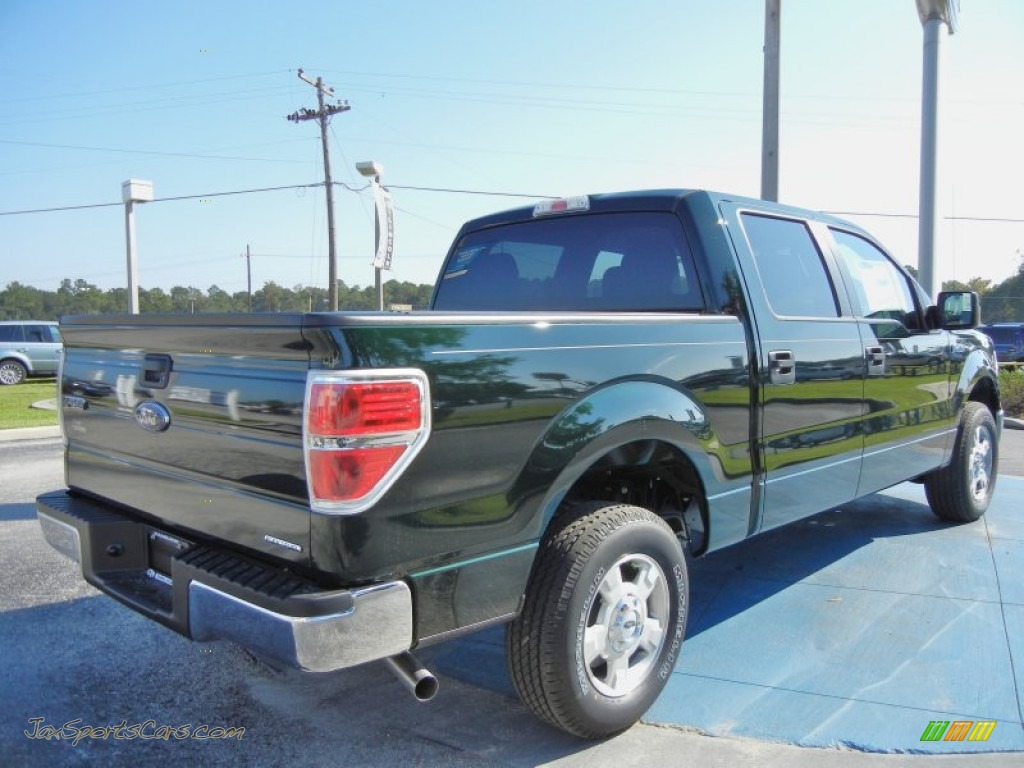 2013 Ford F150 Xlt Supercrew In Green Gem Metallic Photo #3 - A02293 