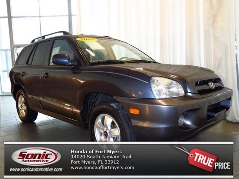 Pewter Gray 2005 Hyundai Santa Fe GLS Pewter Gray 2005 Hyundai Santa Fe GLS