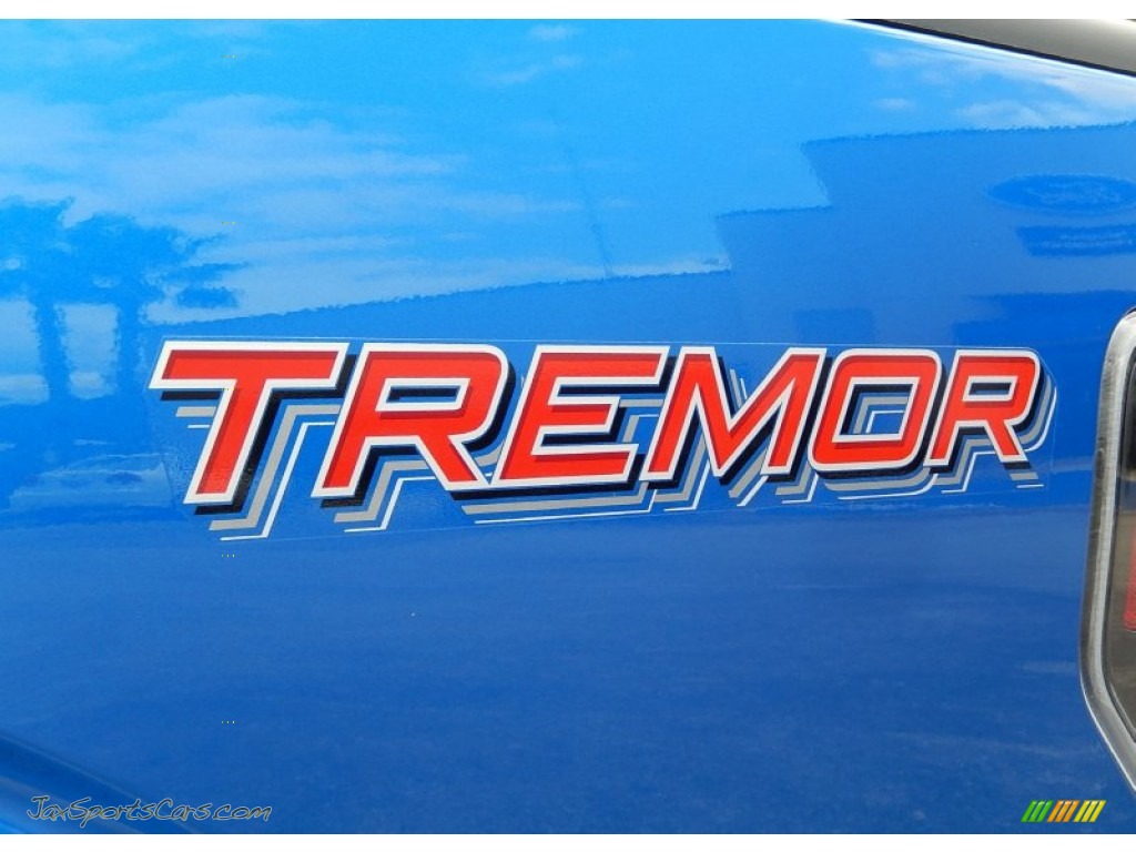 2014 F150 FX2 Tremor Regular Cab - Blue Flame / Black photo #6
